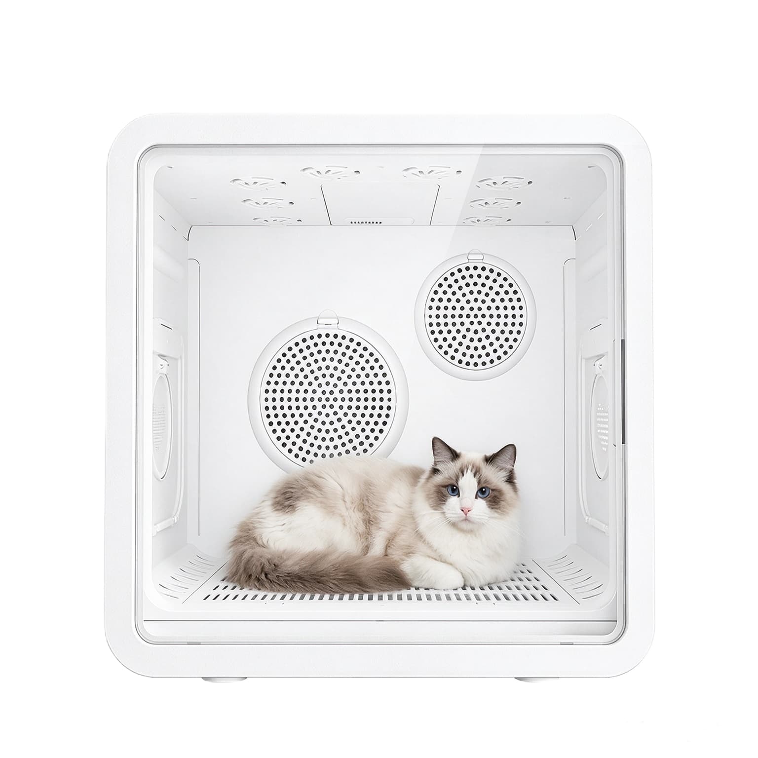 Hanfay SY-D2 82L smart pet dryer box with cat resting comfortably inside spacious cabin